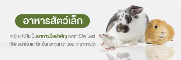 อาหารสัตว์เล็ก